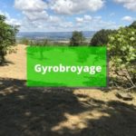 bouton-gyrobroyage